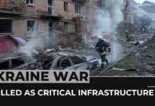 Russian Attacks Plunge Ukraine, Parts of Moldova into Darkness, 24 November 2022