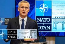 NATO Secretary General Pre-ministerial Press Conference, 25 November 2022