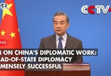 FM on China’s Diplomatic Work: Head-of-State Diplomacy Immensely Successful