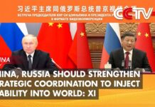 China, Russia Should Strengthen Strategic Coordination to Inject Stability into World: Xi, 30 December 2022