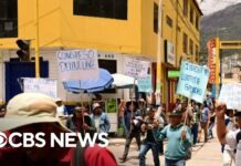 Peru’s Congress to Consider Holding Early Elections amid Protests, Violent Clashes, 20 December 2022