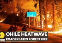Heatwave Hit Chile with Record-high Temperatures; Heatwave Exacerbates Forest Fire, 17 December 2022