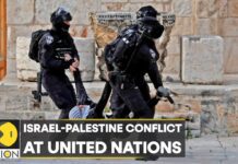 Israel-Palestine Conflict at United Nations, Resolution against Israel at ICJ, 31 December 2022
