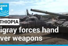 French, German Foreign Ministers Arrive in Ethiopia to Support Tigray Peace Agreement, 12 January 2023