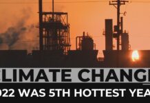 Report: 2022 Was the Fifth-hottest Year on Record, 13 January 2023
