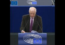 HR/VP Josep Borrell | EP Plenary 17/01/2023