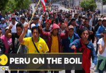 Peru: Country Declares Emergency amid Protests for 30 Days, 15 January 2023