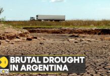 Argentina Soybean Harvests Threatened by Persistent Drought, 20 January 2023