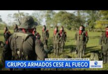 Estos Son los Cinco Grupos Armados que Estarán en el Cese al Fuego, 2 enero 2023
