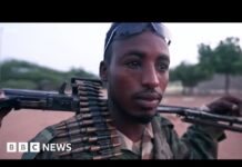 Somali Special Forces Gain Ground against al-Shabab Extremists, 23 November 2022