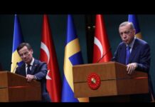 Turkey Cancels Swedish Defence Minister’s Visit over Protest Permits, 21 January 2023
