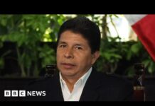 Peru’s Ousted President Pedro Castillo Detained by Police, 8 December 2022