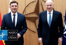 NATO Deputy Secretary General w/ the Minister of Foreign Affairs of North Macedonia , 31 January 2023