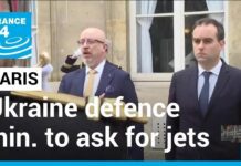 Ukraine Defence Minister in Paris Expected to Ask for French Fighter Jets, 31 January 2023