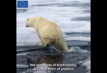 EU Arctic Forum 2023, 8 February 2023