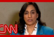 Canadian Defense Minister Describes Object Shot Down by NORAD, 12 February 2023