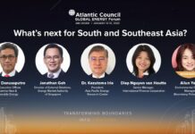 Energy: What’s Next for South and Southeast Asia? 15 January 2023