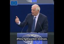 HR/VP Josep Borrell | EP Plenary 15/02/2023 | #02 Sanctions and Impact