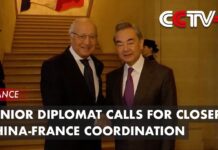 Senior Diplomat Calls for Closer China-France Coordination, 17 February 2023