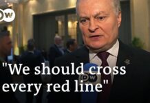 Lithuanian President Advocates to Think about Fighter Jets and Long-Range Missiles for Ukraine, 17 February 2023