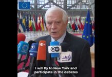 HR/VP Josep Borrell Doorstep | Foreign Affairs Council | 20 February 2023