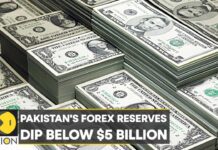 Pakistan’s Forex Reserves Dip Below $5 Billion; No Money Left for Imports, 13 January 2023