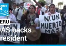 Organization of American States Backs Peru’s President amid Deadly Protests, 26 January 2023