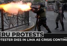 Protester Dies in Lima as Peru’s Crisis Continues, 29 January 2023