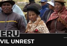 Peru Protests: Army Deployed in Southern Region as Tensions Rise, 30 January 2023