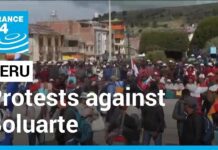 Peru: Citizens Travel to Lima to Protest against Boluarte, 28 February 2023