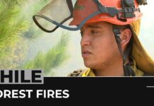 Chile Wildfires: No End in Sight after Weeks of Firefighting, 14 February 2023