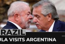 Brazil-Argentina Summit to Focus on Trade, Economic Integration, 24 January 2023