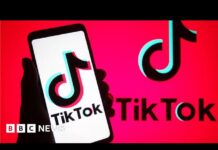 European Commission Bans Staff from Using TikTok, 23 February 2023