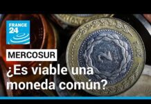¿Es Viable la Propuesta de una Moneda Común dentro del Mercosur? 26 enero 2023