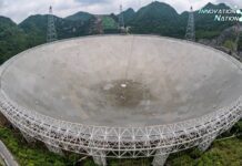 China’s FAST Telescope Discovers over 740 Pulsars, 6 February 2023
