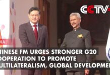 Chinese FM Urges Stronger G20 Cooperation to Promote Multilateralism, Global Development, 2 March 2023
