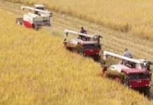 China Issues ‘No. 1 Central Document for 2023,’ Highlights Tasks on Rural Vitalization, 13 February 2023