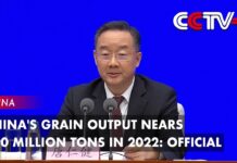 China’s Grain Output Nears 690 Million Tons in 2022: Official, 14 February 2023