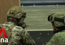 Singapore Defence Is a «Long-term Business»: Ng Eng Hen, 24 February 2023