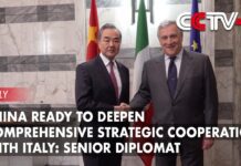 China Ready to Deepen Comprehensive Strategic Cooperation with Italy: Senior Diplomat, 17 February 2023