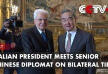 Italian President Meets Senior Chinese Diplomat on Bilateral Ties, 18 February 2023