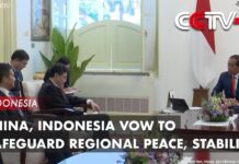 China, Indonesia Vow to Safeguard Regional Peace, Stability, 24 February 2023
