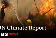UN Climate Report: Scientists Release ‘Survival Guide’ to Avert Climate Disaster, 20 March 2023