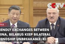 Friendly Exchanges Between China, Belarus Keep Bilateral Friendship Unbreakable: Xi, 1 March 2023