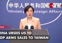 China Urges US to Stop Arms Sales to Taiwan: Spokeswoman, 2 March 2023