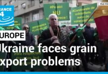 Ukraine Faces Grain Export Problems Despite Resumption of Ship Inspections, 21 April 2023