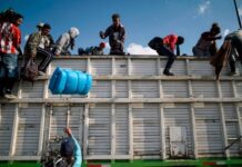 Over 100,000 Migrants Cross the US-Mexico Border in Six Months, 23 April 2023