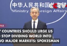 G7 Countries Should Urge US to Stop Dividing World into Two Major Markets: China´s Spokesman,15 May 2023