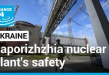 UN Nuclear Watchdog Growingly Worried over Zaporizhzhia Nuclear Plant in Ukraine, 7 May 2023