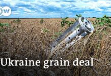 EU Strikes Deal to End Import Ban on Ukrainian Grain, 1 May 2023